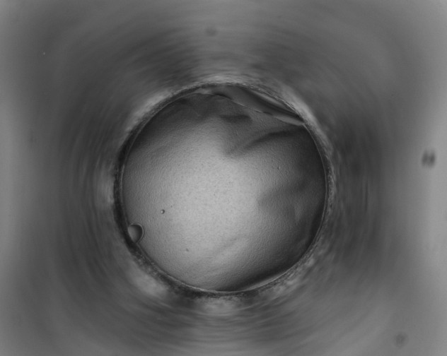 X0000101090106200807101558