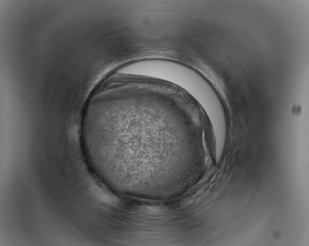 X0000101090107200807101558