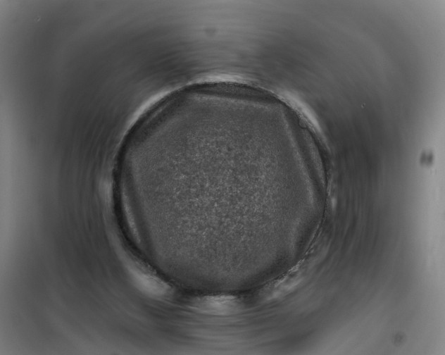 X0000101090108200807101558