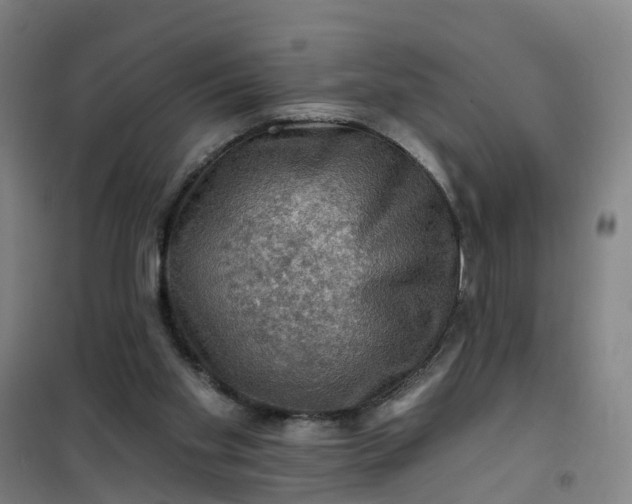 X0000101090109200807101558