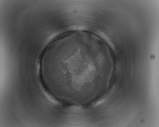 X0000101090110200807101558