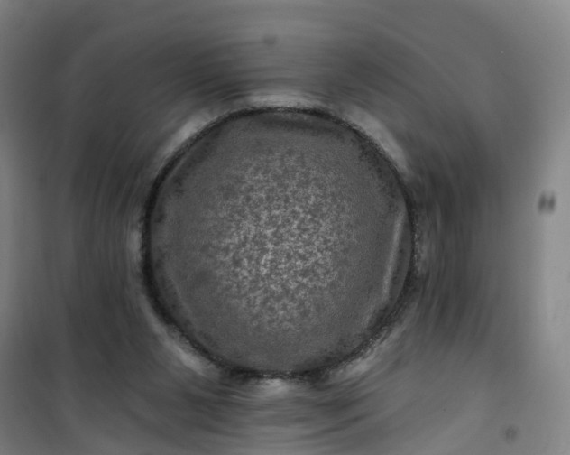 X0000101090111200807101558