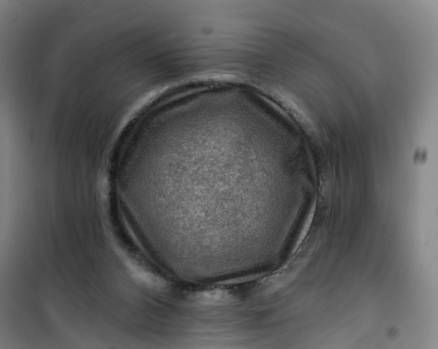 X0000101090112200807101558