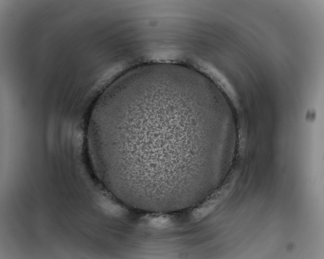 X0000101090113200807101558