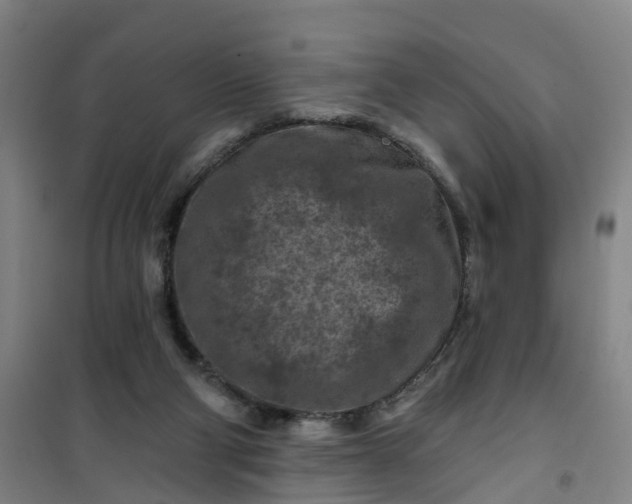 X0000101090114200807101558