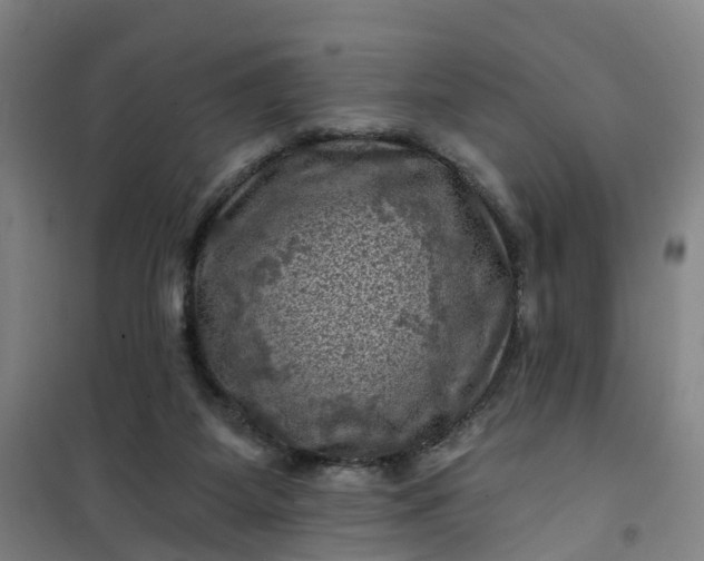 X0000101090115200807101558