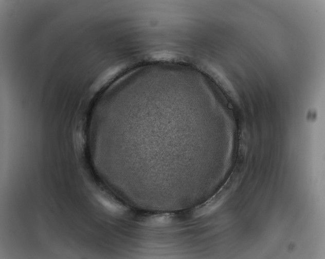 X0000101090116200807101558