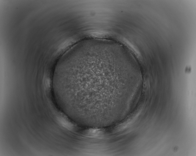 X0000101090117200807101558