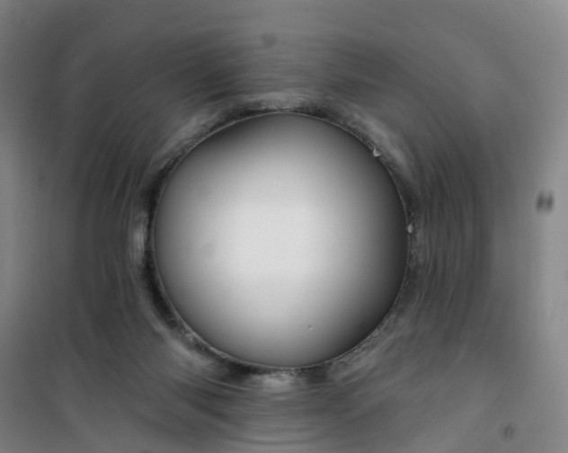 X0000101090118200807101558