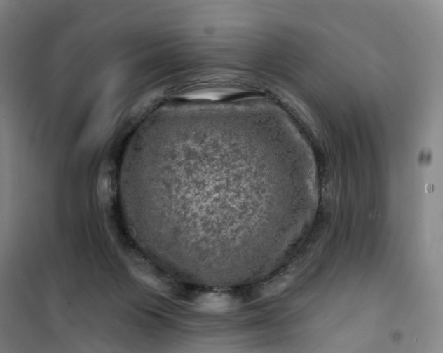 X0000101090119200807101558