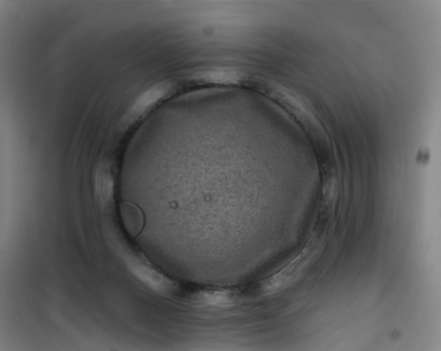 X0000101090120200807101558