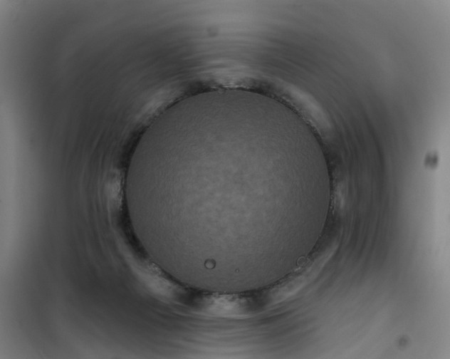 X0000101090121200807101558