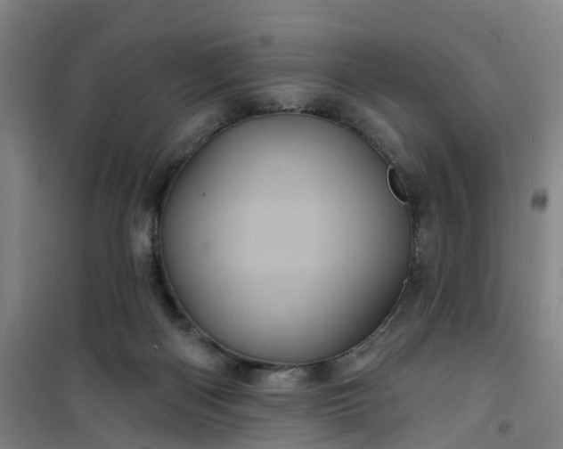 X0000101090122200807101558