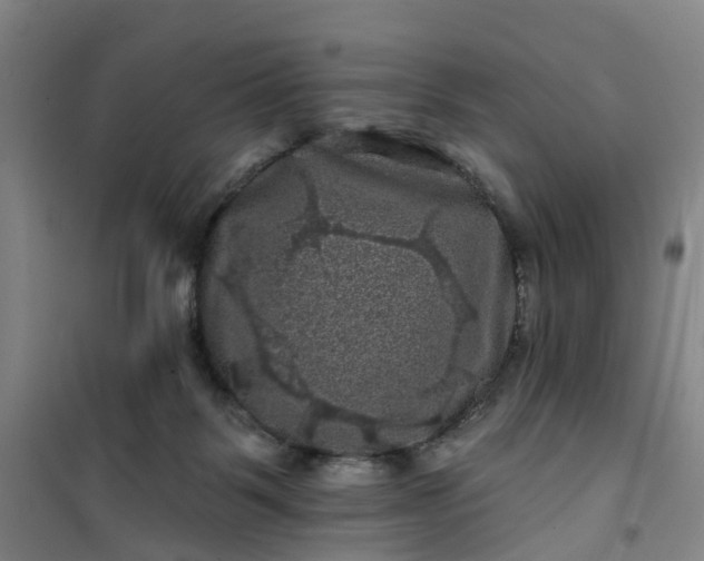 X0000101090123200807101558