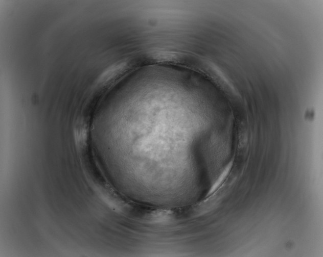 X0000101090124200807101558