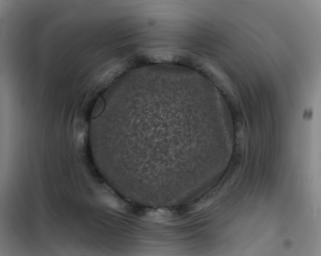 X0000101090125200807101558