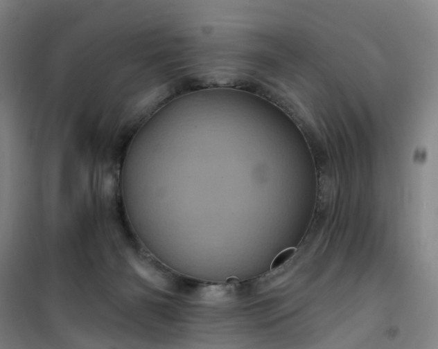 X0000101090126200807101558