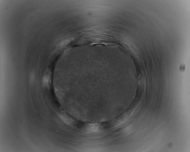 X0000101090127200807101558