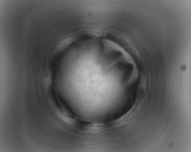 X0000101090128200807101558