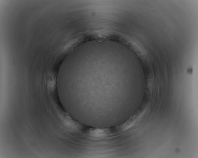 X0000101090129200807101558