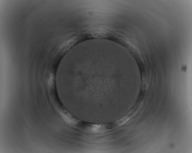 X0000101090130200807101558