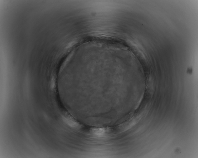 X0000101090131200807101558