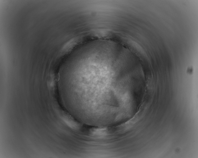 X0000101090132200807101558