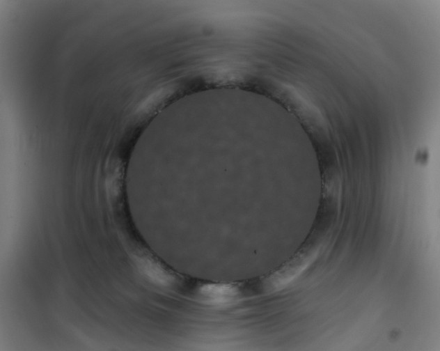 X0000101090133200807101558