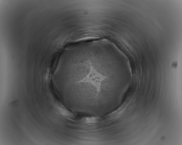 X0000101090134200807101558