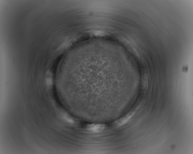 X0000101090135200807101558