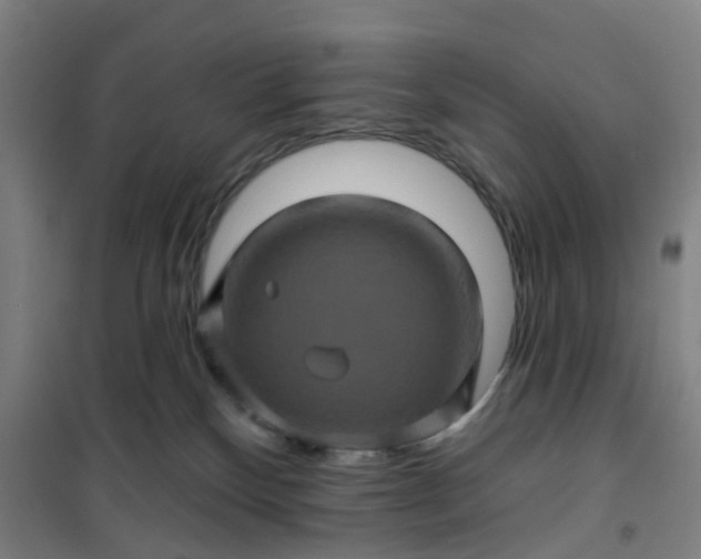 X0000101090136200807101558