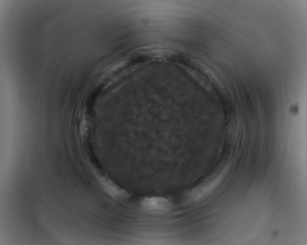 X0000101090137200807101557