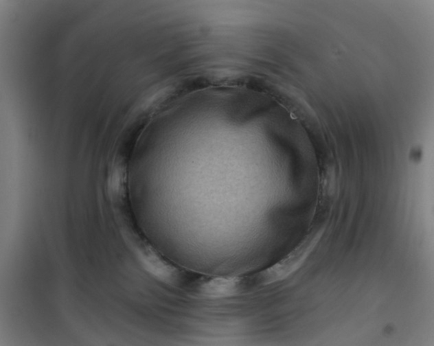 X0000101090138200807101557