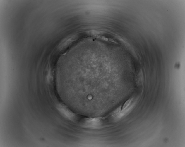 X0000101090140200807101557