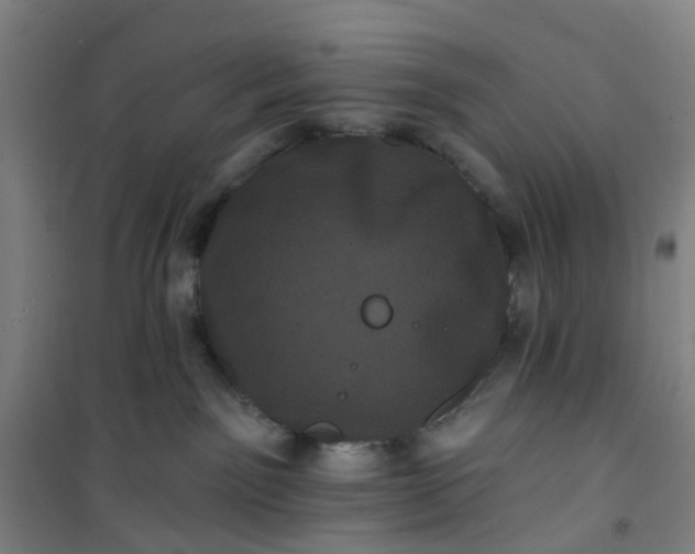 X0000101090141200807101557