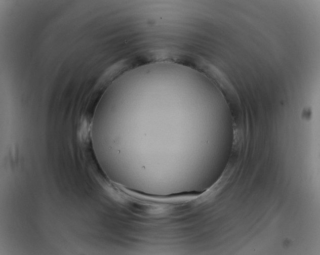 X0000101090142200807101557