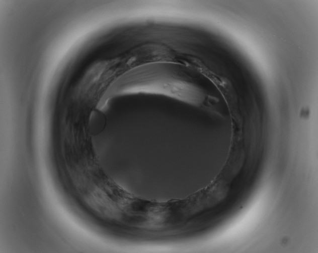 X0000101090143200807101557