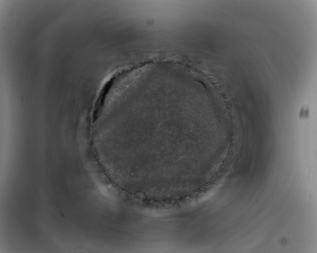 X0000101090144200807101557