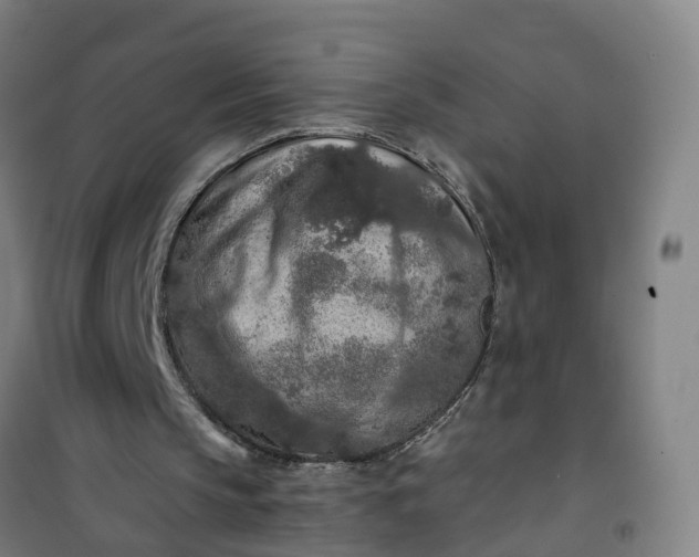 X0000101090145200807101556