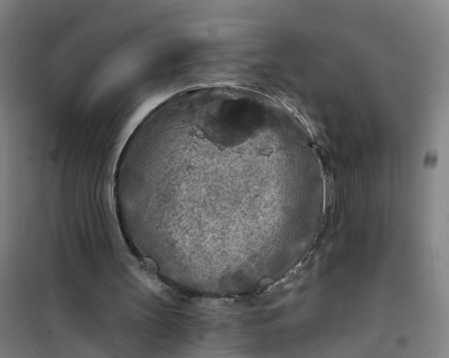 X0000101090147200807101557