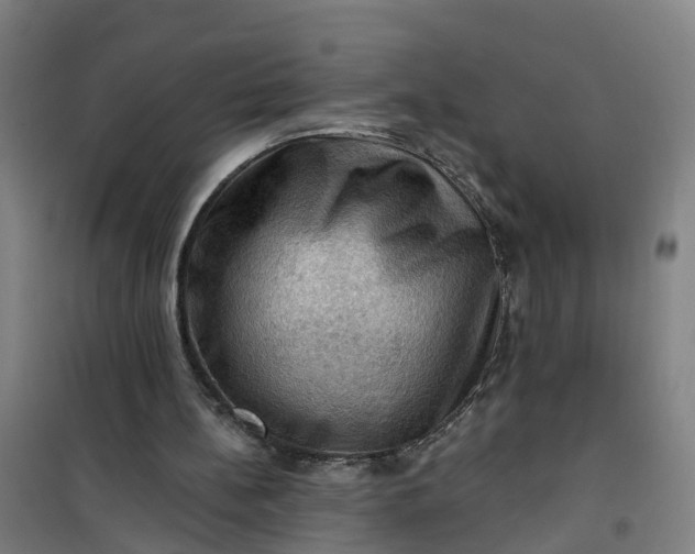 X0000101090148200807101557