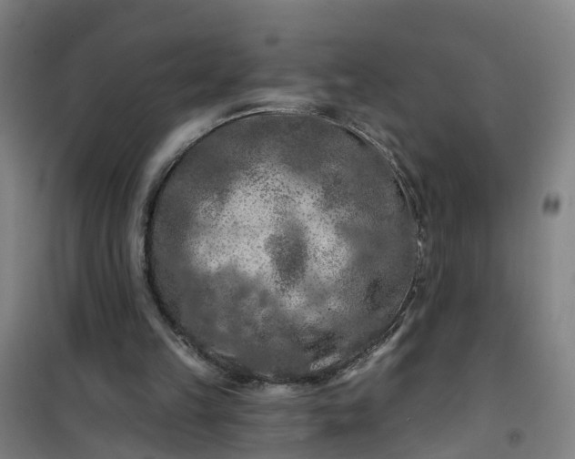 X0000101090149200807101557