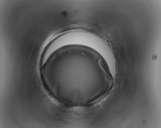 X0000101090150200807101557