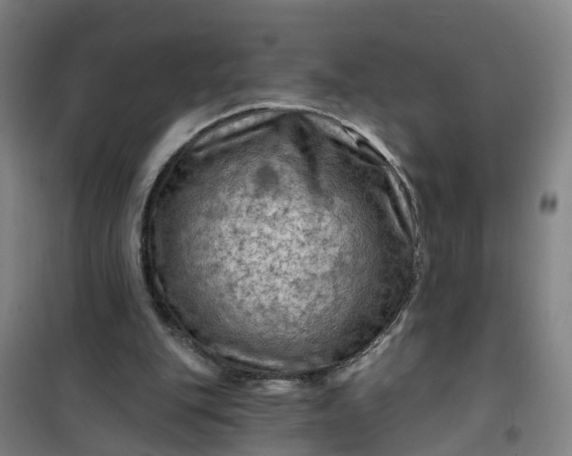 X0000101090151200807101557