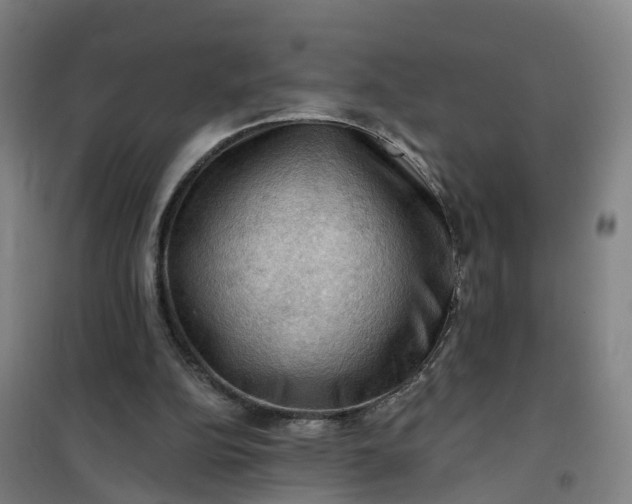 X0000101090152200807101557