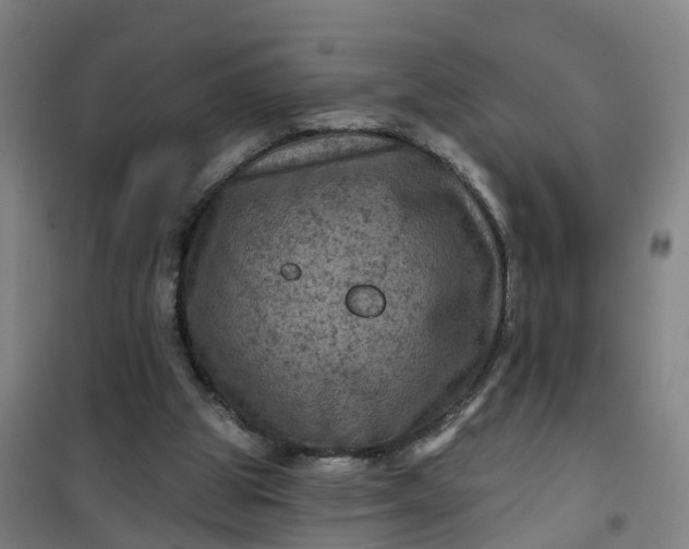 X0000101090153200807101557