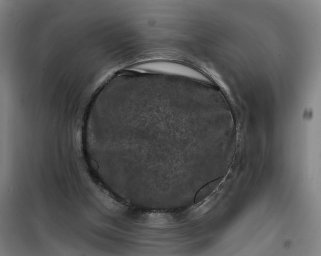 X0000101090154200807101557