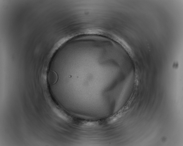 X0000101090155200807101557