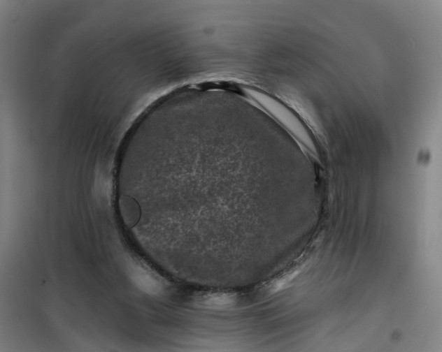 X0000101090156200807101557