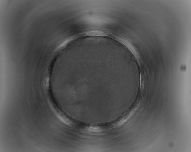 X0000101090157200807101557